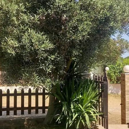 Maisonette Near The *